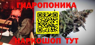 гашик Гай