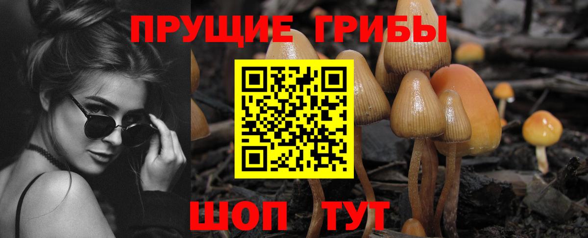 Галлюциногенные грибы GOLDEN TEACHER  Псилоцибиновые грибы ЛСД  Каменка  Вход с VPN 